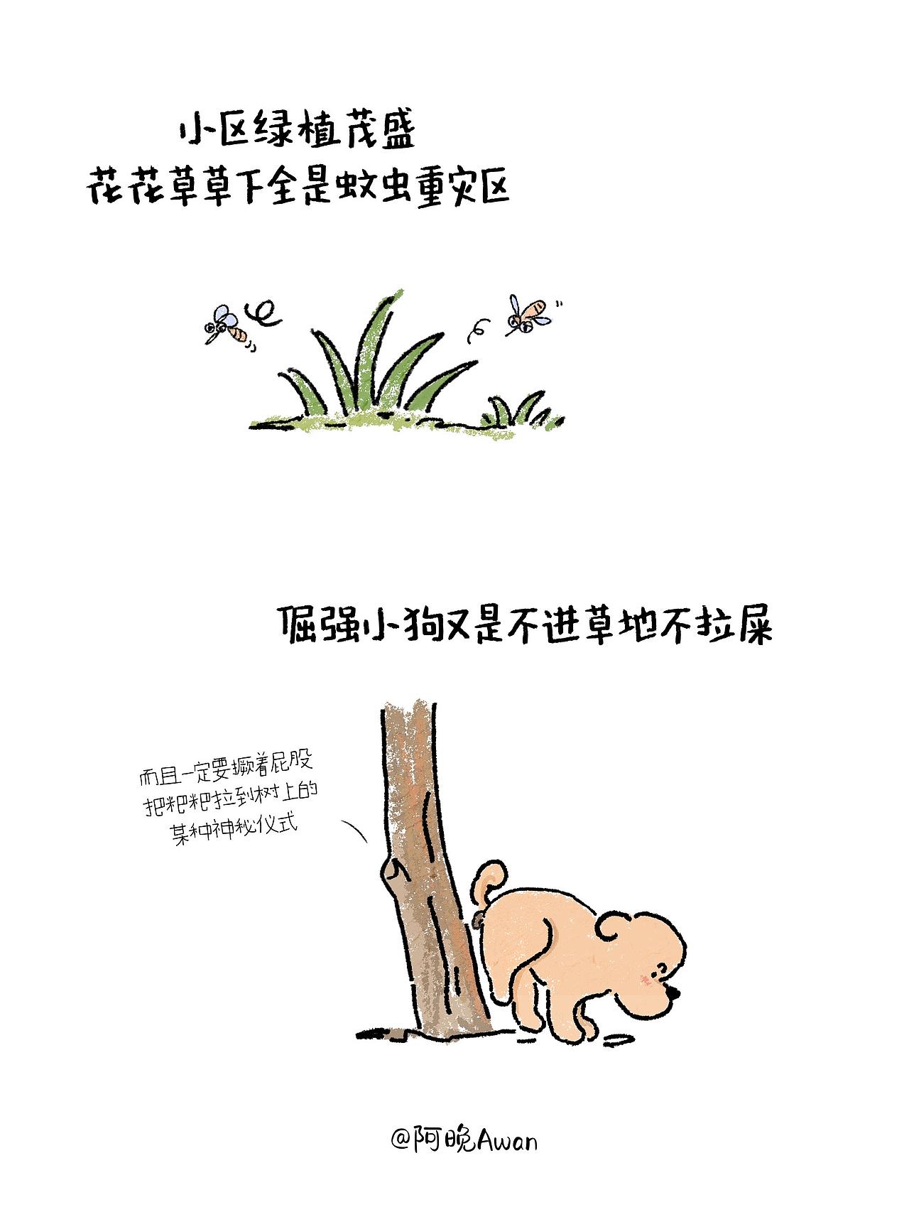 夏季遛狗·防虫篇（图ZNDEwOTAzNDAw） - 创作习作 - 站酷设计师阿晚插画Awan原创素材 - 站酷ZCOOL