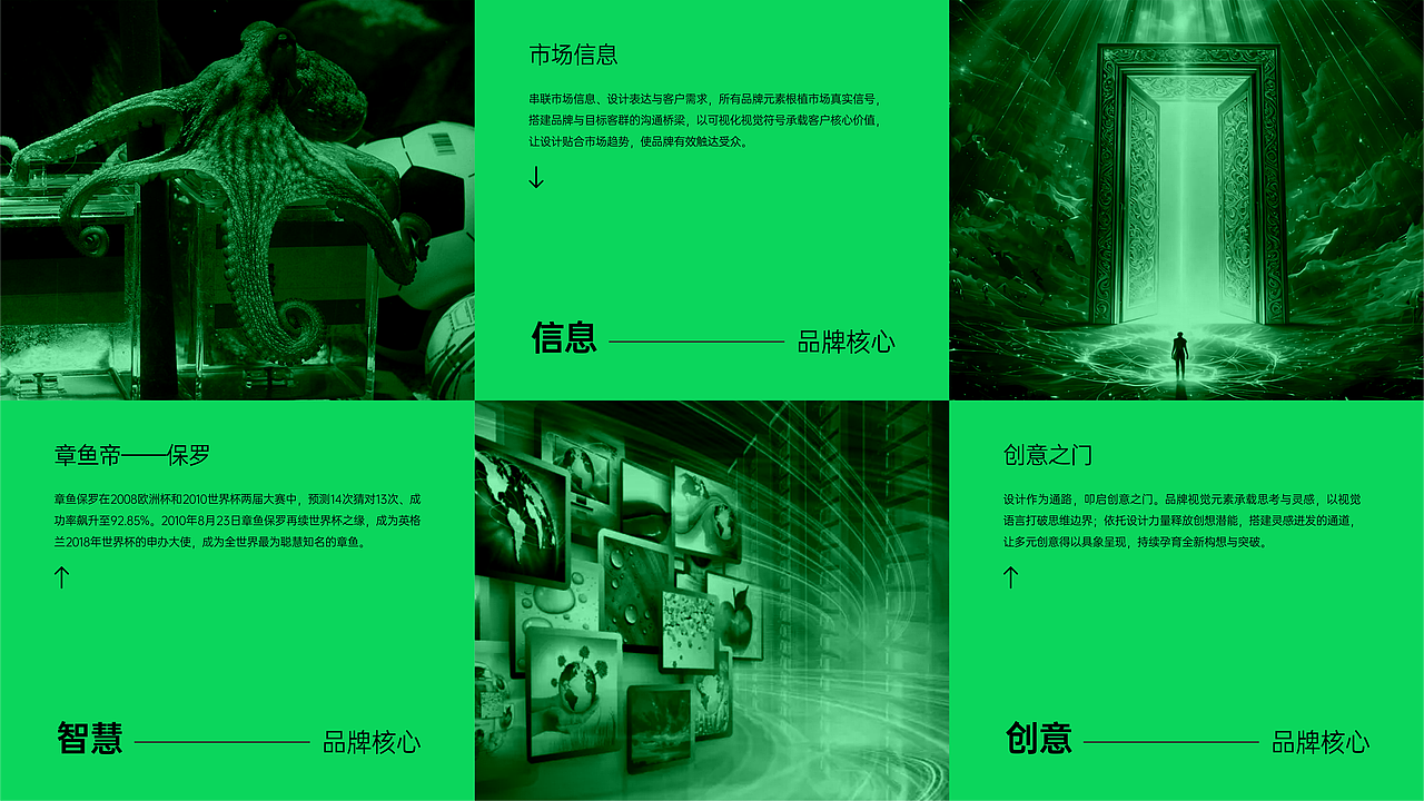 智鱼全新品牌形象（图ZNDEwOTIyMTky） - 品牌 - 站酷设计师余尤勇原创素材 - 站酷ZCOOL