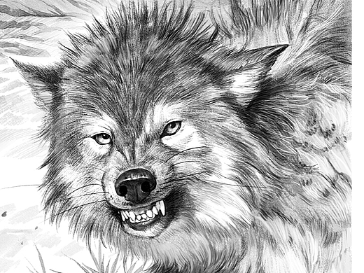 古法手搓素描插画3