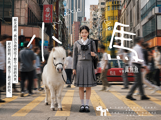 小马 