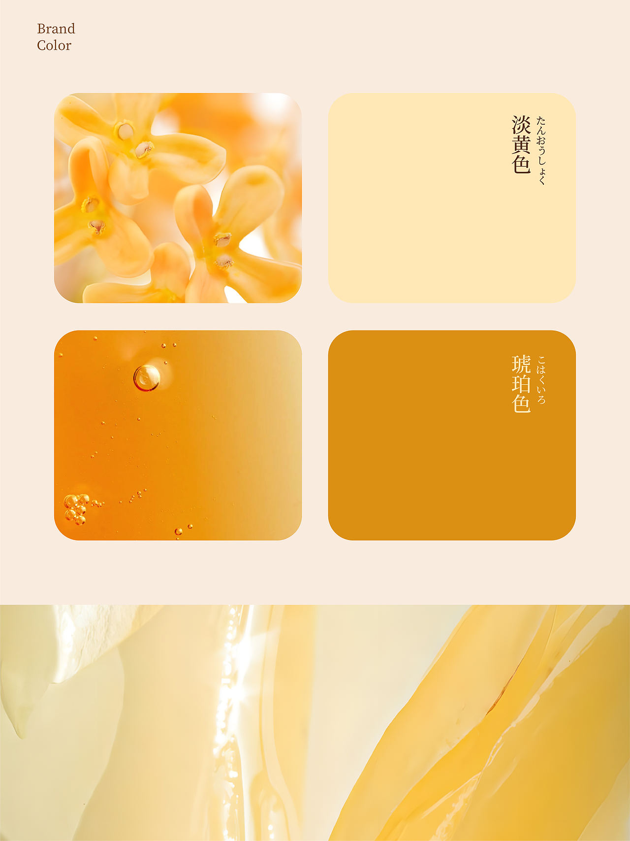 日式桂花乌龙茶·品牌包装（图ZNDEwOTQ3ODIw） - 包装 - 站酷设计师大米PXJ原创素材 - 站酷ZCOOL