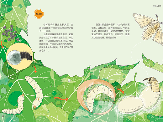 杂志《大美星球》科普插画4