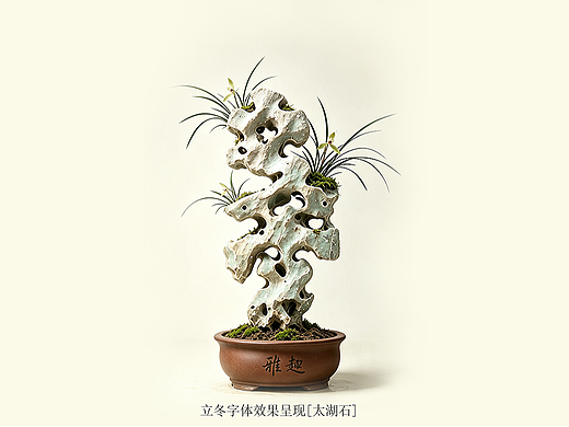 二十四节气之《旧字新作》