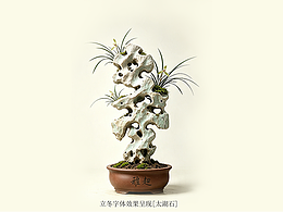 二十四节气之《旧字新作》