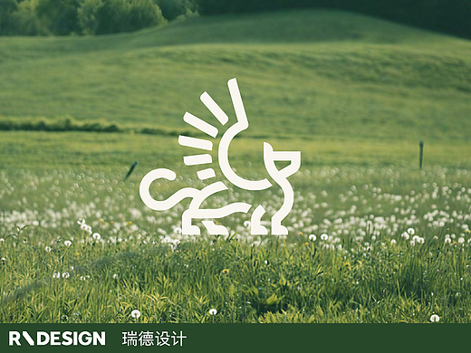 源飞集团 × 瑞德设计 | 宠物主粮品牌全案设计