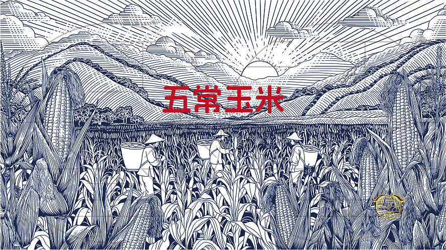 五常玉米包装插画设计/原创版画（图ZNDExMDgwNjg0） - 商业插画 - 站酷设计师鲲鹏设计插画汪攀原创素材 - 站酷ZCOOL