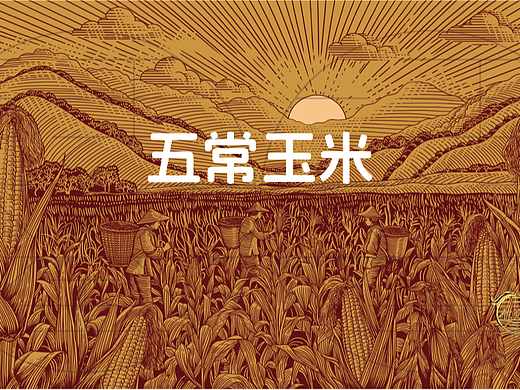 五常玉米包装插画设计/原创版画