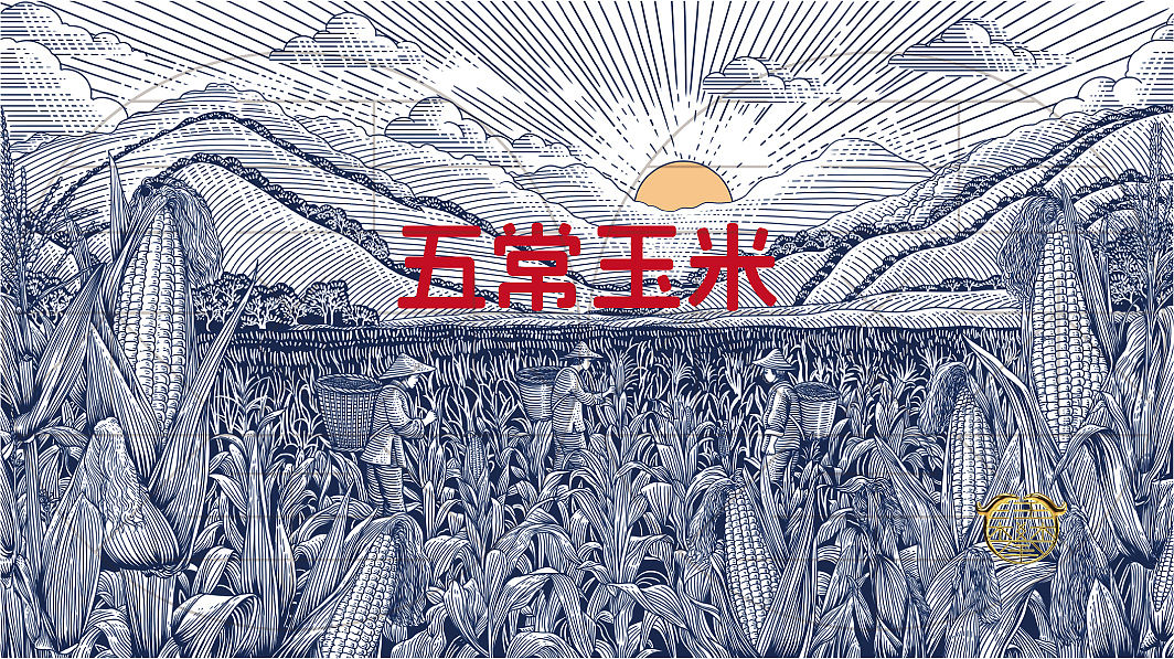 五常玉米包装插画设计/原创版画（图ZNDExMDgwNjg4） - 商业插画 - 站酷设计师鲲鹏设计插画汪攀原创素材 - 站酷ZCOOL