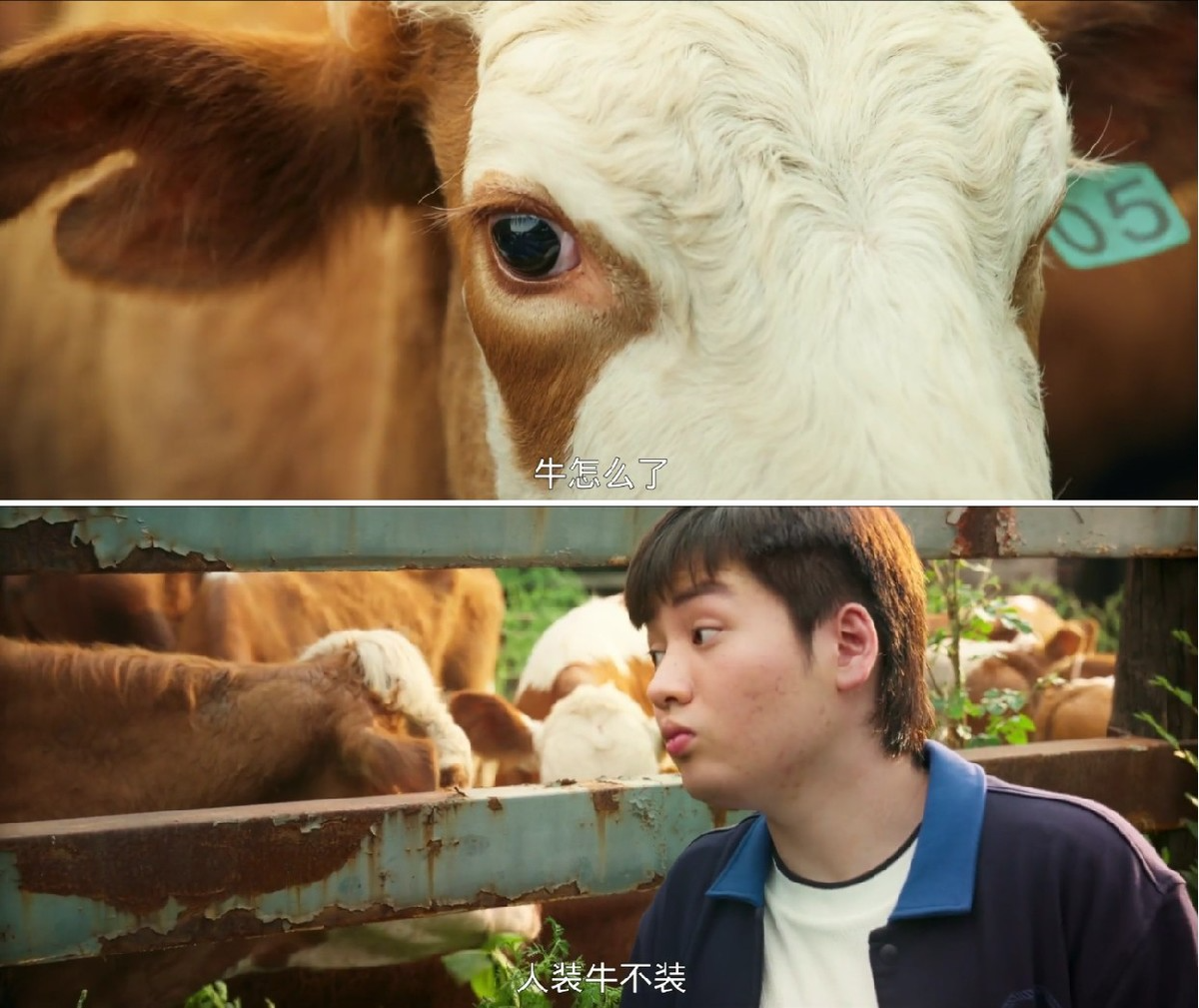 《牛来》反映了电影的意义危机 | 一个符号工作室（图ZMTU4MTQwNDg=） - 观点 - 站酷设计师一个符号工作室原创素材 - 站酷ZCOOL