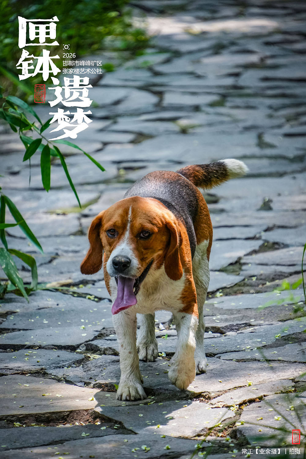 匣钵遗梦（图ZNDExMTkwNTg0） - 人文/纪实摄影 - 站酷设计师画设计原创素材 - 站酷ZCOOL