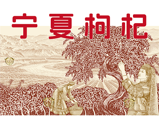 宁夏枸杞包装插画设计/原创版画
