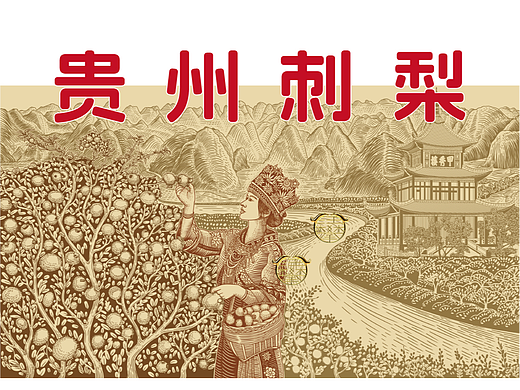 贵州刺梨包装插画设计/原创版画