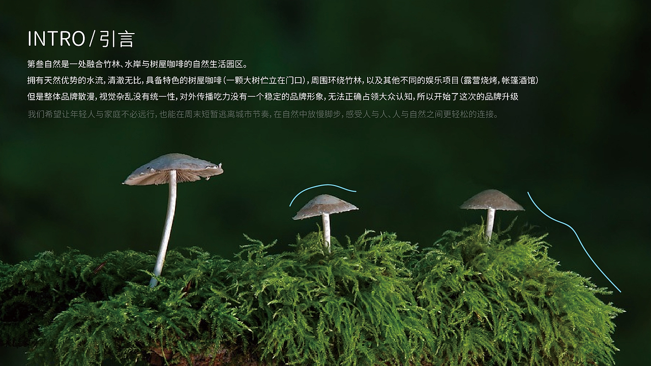 The Third Nature 第叁自然 | 品牌全案设计（图ZNDExMzMzMzI0） - 品牌 - 站酷设计师EUNUIA原创素材 - 站酷ZCOOL
