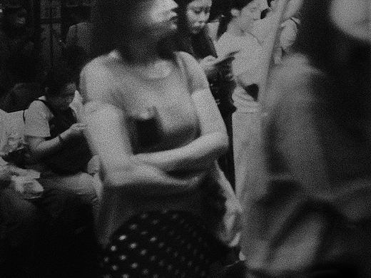 城市浮游