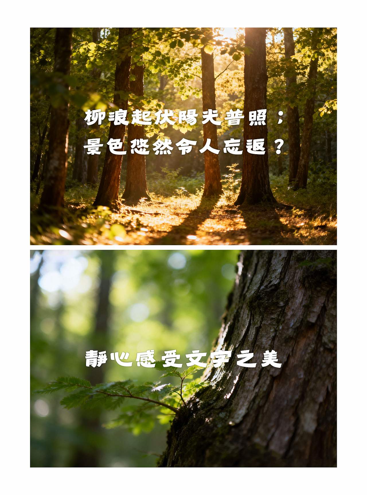 2024森泽字体设计竞赛|繁体中文组佳作奖|迷(图ZNDExNDIzNTU2) - 字体/字形 - 站酷设计师Mrlang原创素材 - 站酷ZCOOL