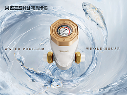 韦思卡尔前置过滤器&反渗透净水器详情页/策略视觉全案