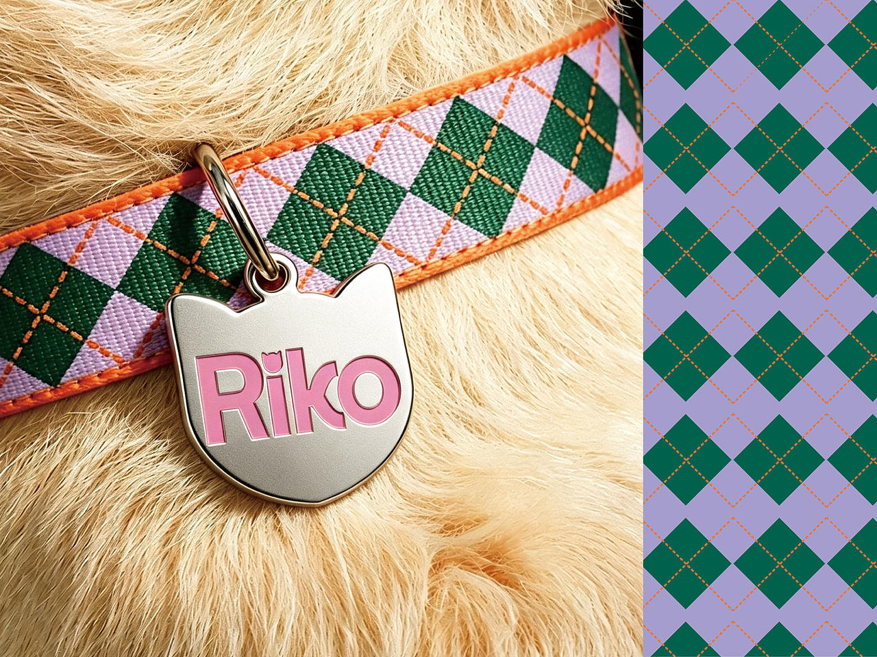 Riko逸可∣宠物用品品牌全案∣标志/VI/包装（图ZNDExNDkzMTI4） - 品牌 - 站酷设计师AlexisWhite原创素材 - 站酷ZCOOL