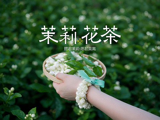 茉莉花茶——新中式茶饮烘焙品牌