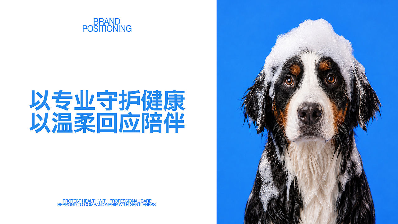 Petora宠物洗护用品 品牌包装全案（图ZNDExNTI1MTMy） - 品牌 - 站酷设计师tomato大王原创素材 - 站酷ZCOOL