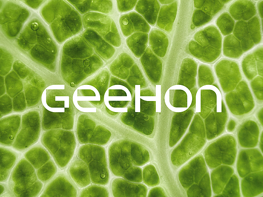 Branding | The Harmony of Nature and Science