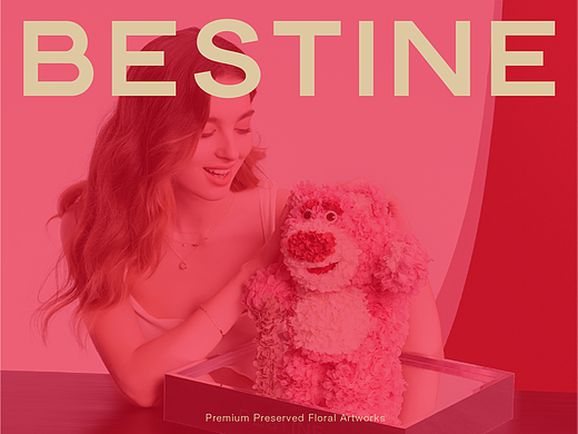从策略到落地：BESTINE柏治廷品牌全案复盘