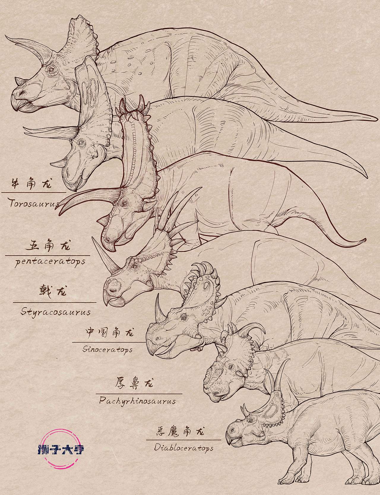 动物插画-物种科普绘本合集（五）古生物篇（图ZNDExNjM0Mzcy） - 商业插画 - 站酷设计师狮子大亨原创素材 - 站酷ZCOOL