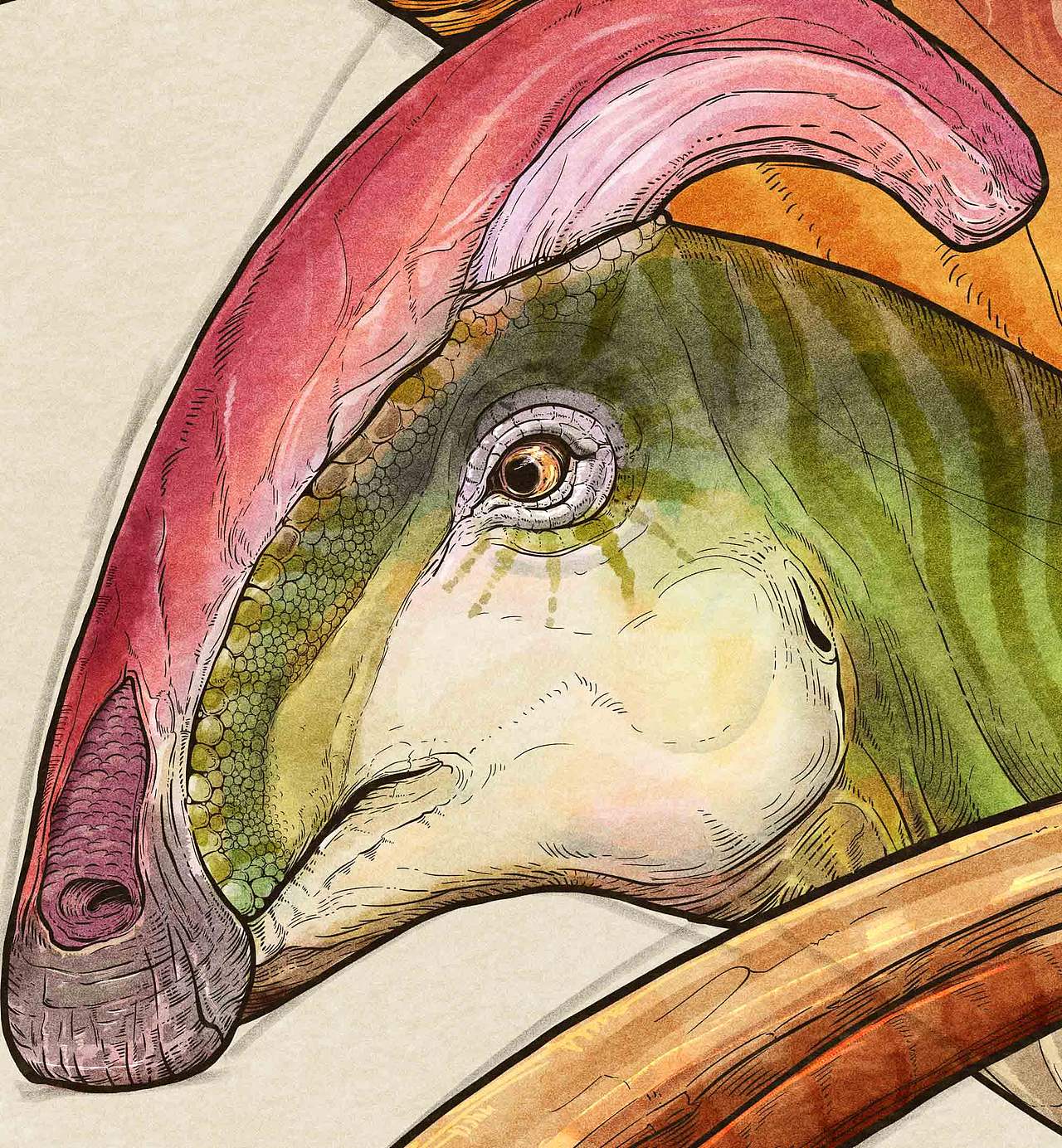 动物插画-物种科普绘本合集（五）古生物篇（图ZNDExNjM0NDIw） - 商业插画 - 站酷设计师狮子大亨原创素材 - 站酷ZCOOL