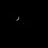 x晓星的头像