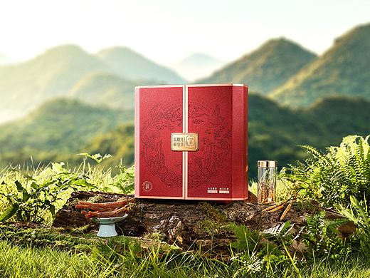 东阳光 冬虫夏草礼盒 | 东莞锐图摄影