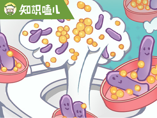 冲马桶该不该盖盖？看完这些，你的洁癖可能要崩了