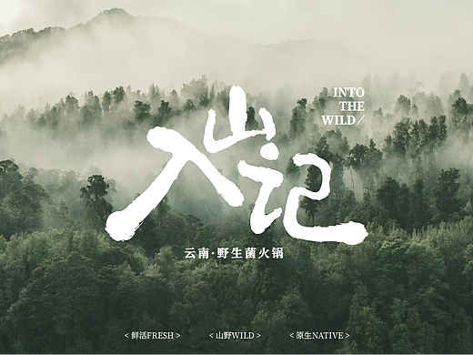 入山记 云南野生菌火锅 