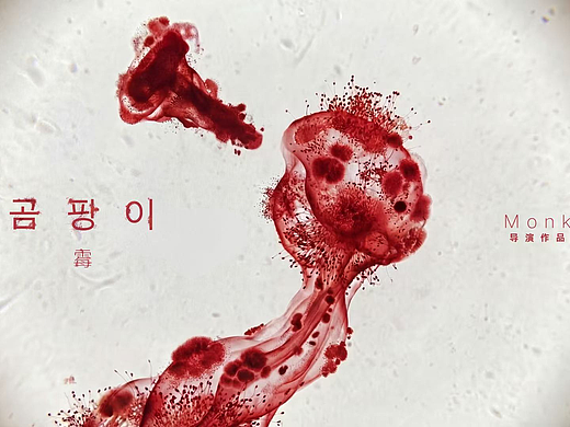 霉