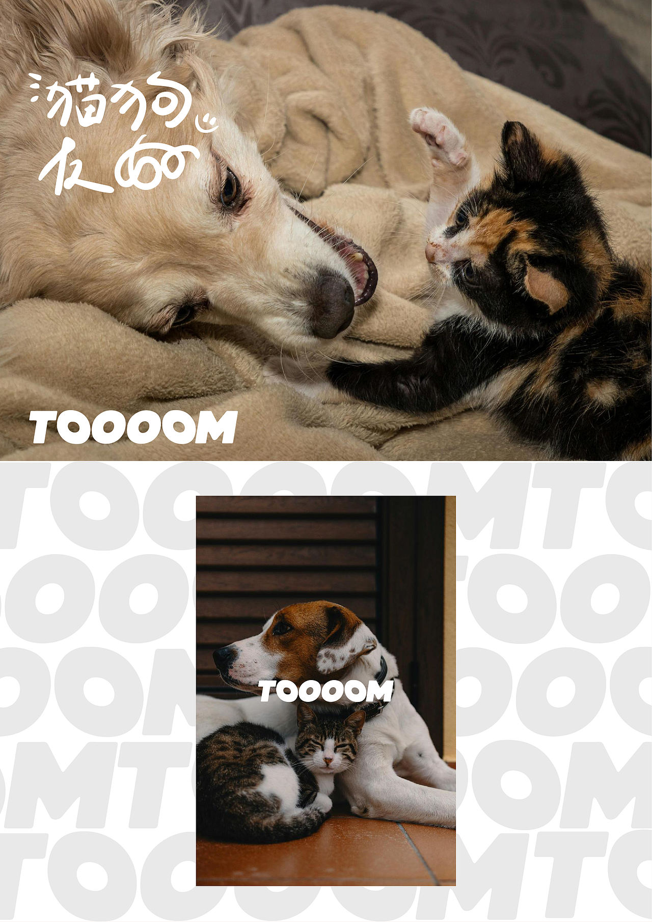 TOOOOM（图ZNDExODgwNjM2） - 品牌 - 站酷设计师c1574963306原创素材 - 站酷ZCOOL