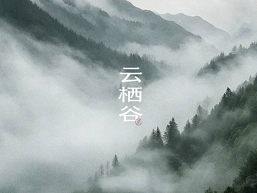 云栖谷茶叶包装设计