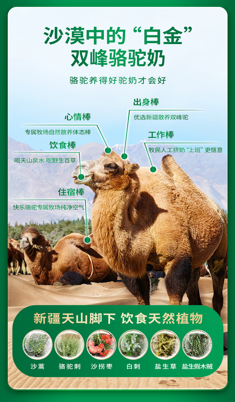 哲仕品牌策划案例｜电商爆款产品全案策划 · 让产品自带高转化属性（图ZMTU4NjgyOTY=） - 资讯 - 站酷设计师爆品包装设计原创素材 - 站酷ZCOOL