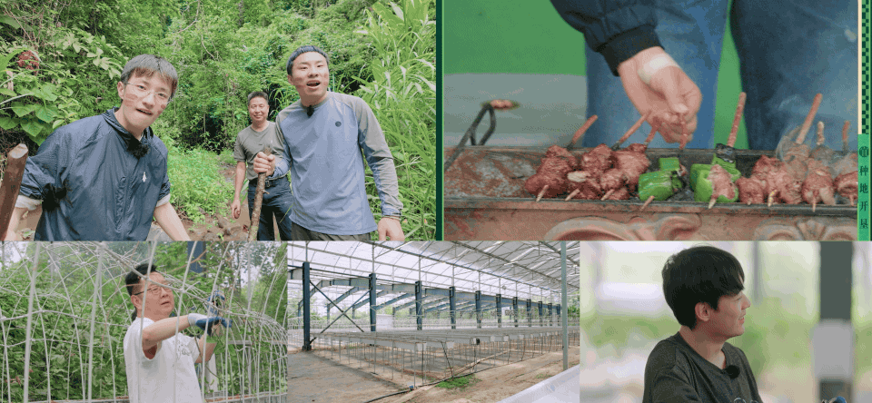 《种地吧4》——赴一场土地之约(图ZNDExOTk4NzU2) - 影视后期 - 站酷设计师OHA_Studio原创素材 - 站酷ZCOOL