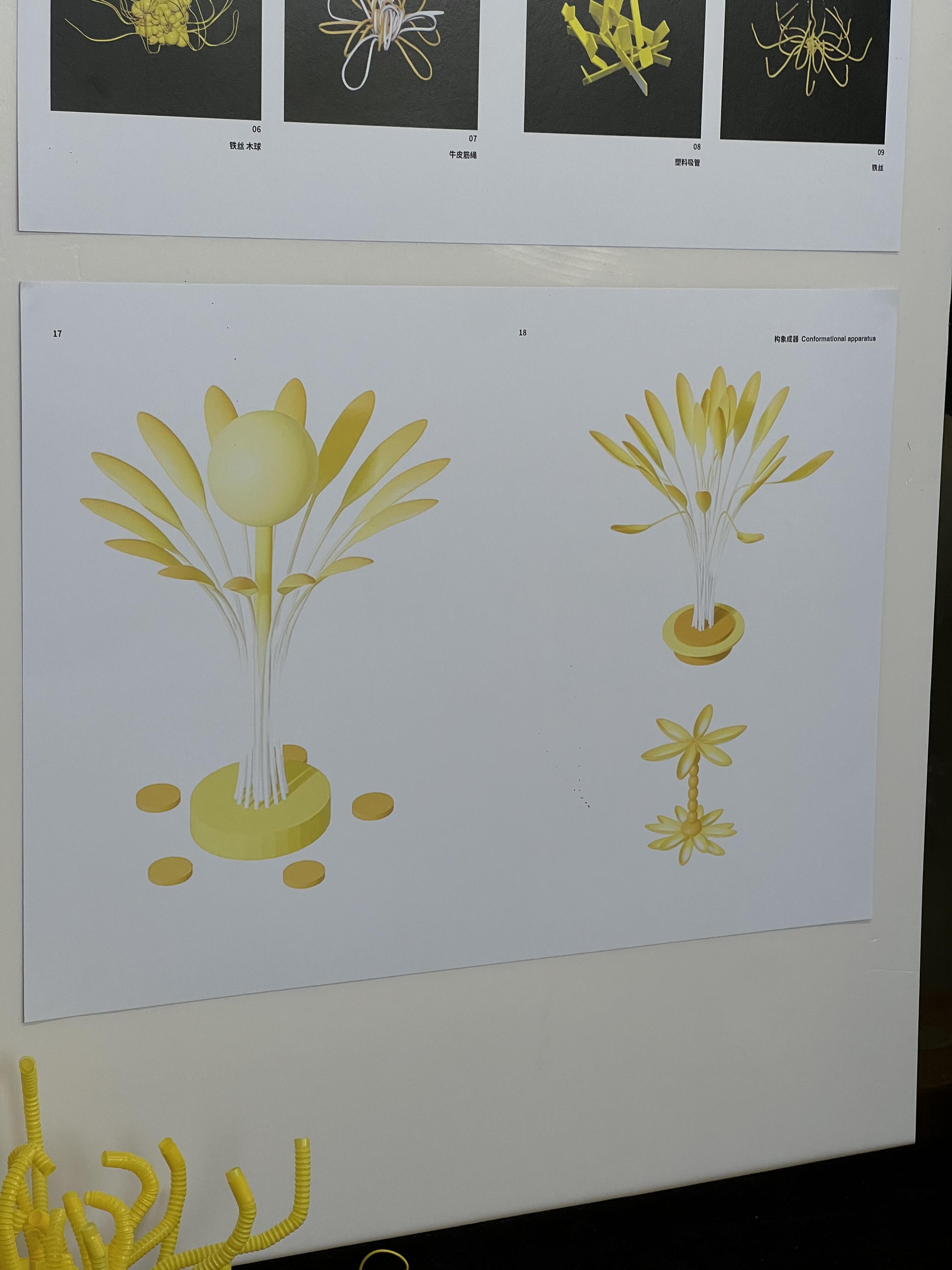 从一朵菊花开始：国美大一构成课里的自然与艺术对话（图ZMTU4Nzc1MDA=） - 观点 - 站酷设计师先锋策划设计汇原创素材 - 站酷ZCOOL