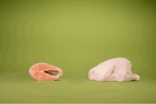 爱肯拿猫粮&狗粮AI短片(图ZNDEyMDI1NTA0) - AI作品 - 站酷设计师阳仔设计杂货铺原创素材 - 站酷ZCOOL