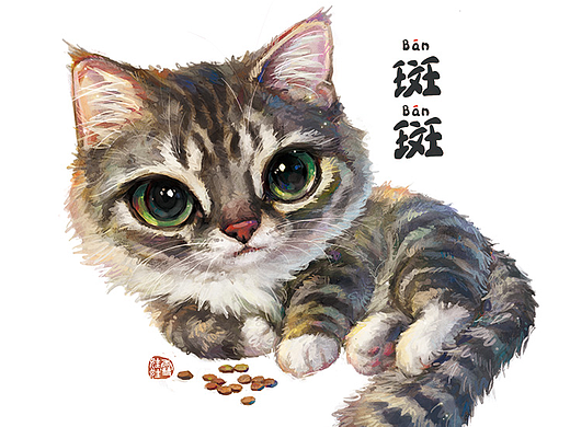 虎斑猫“斑斑”