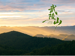 获奖