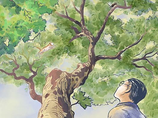《猫》