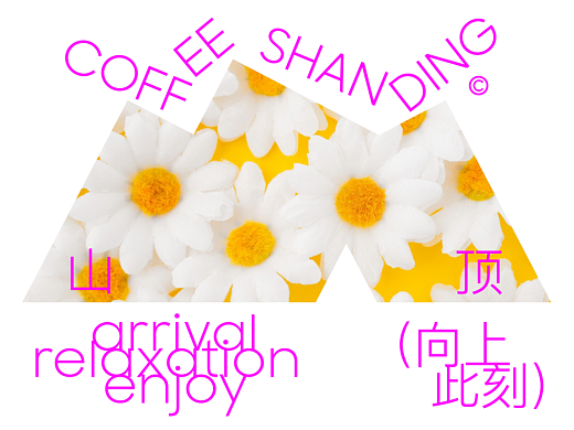 山顶shanding咖啡/品牌设计/logo设计