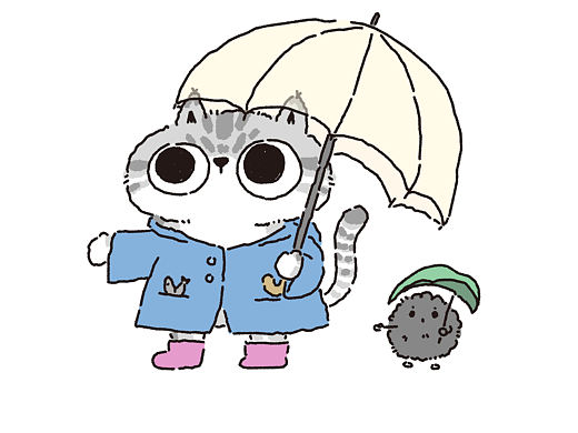 一些猫