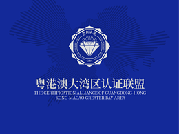 張海龍x粤港澳大湾区 | 湾区认证标 | 言几言十