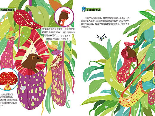 漫画周刊杂志4~8期内页插画绘制