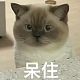 生气土豆
