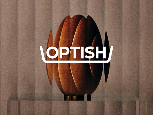 OPTISH 家居收纳 品牌全案设计|美域盛华