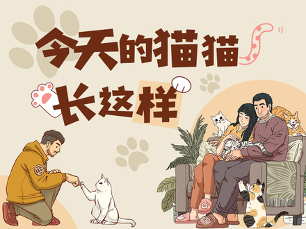 今天的猫猫长这样