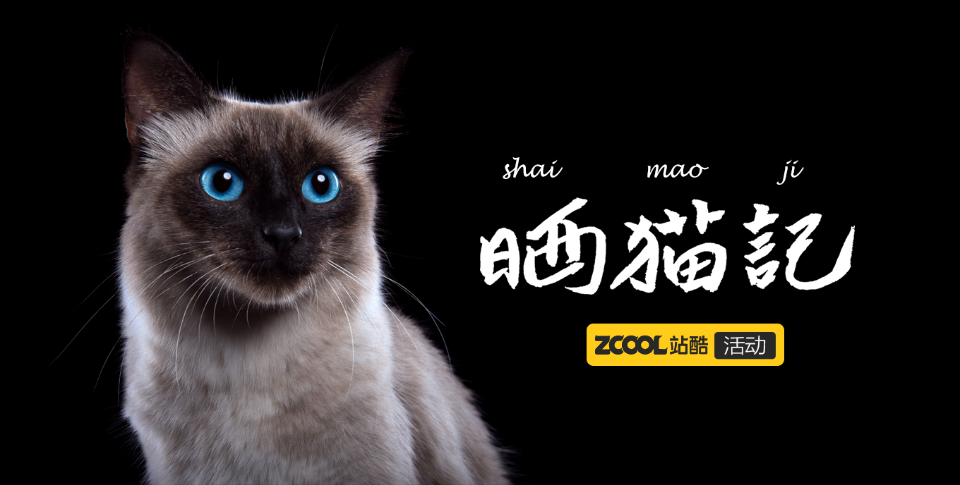 曬貓記——春眠不覺曉，處處聞啼喵。