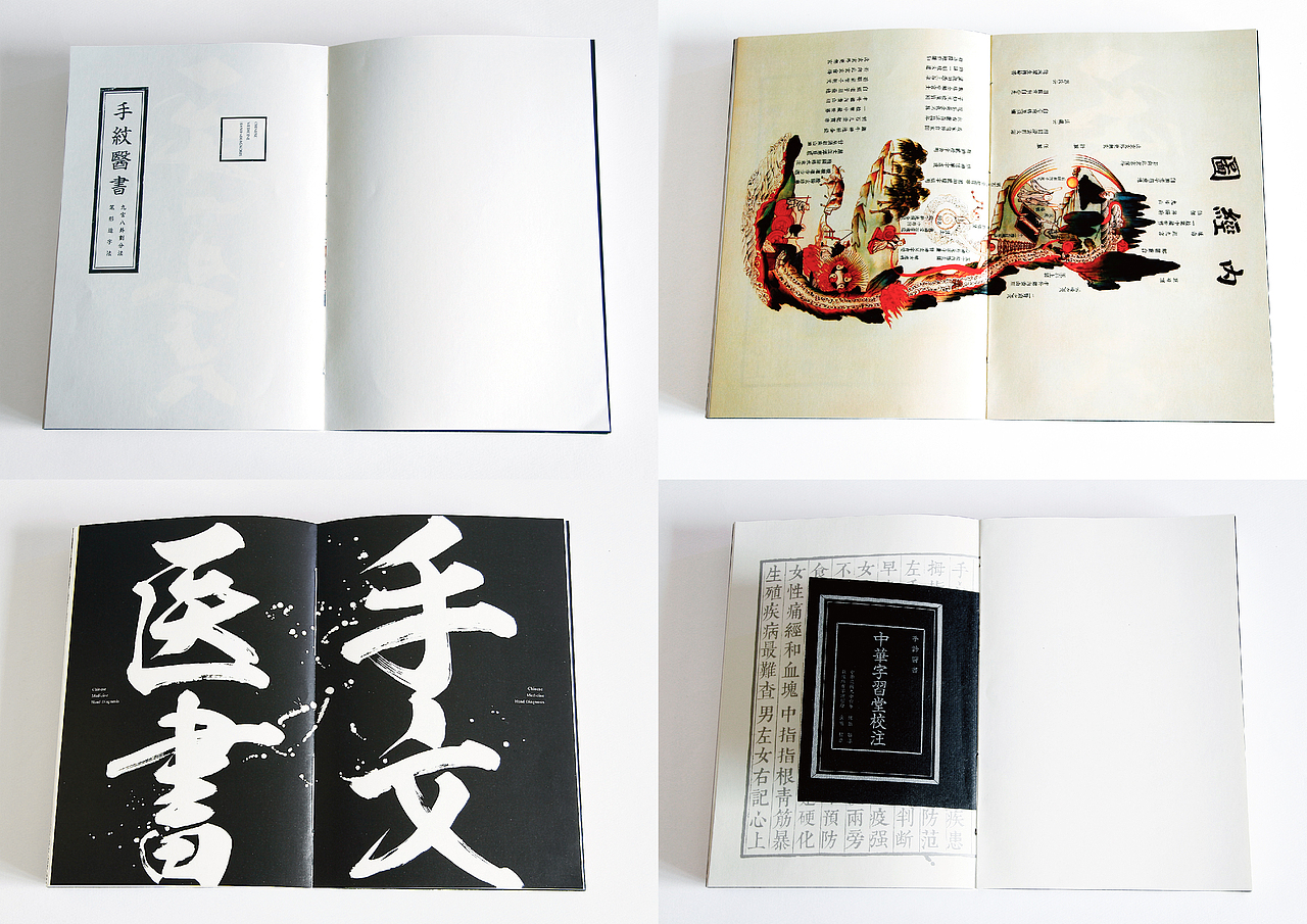 中医手诊文医书